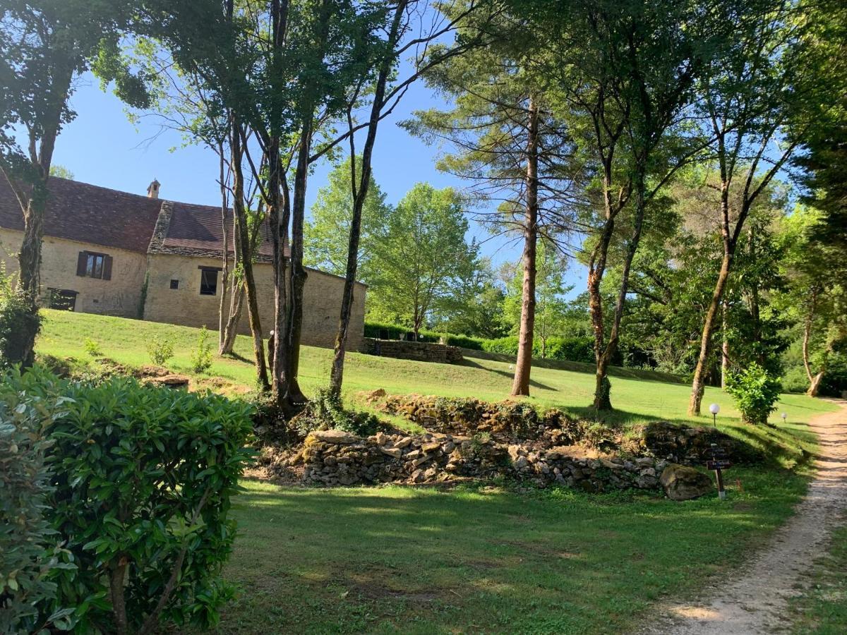 Gite - Le Petit Noyer Le Bugue Exterior foto